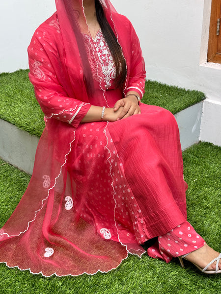 BANDANI - Pink Handcrafted Anarkali Suit