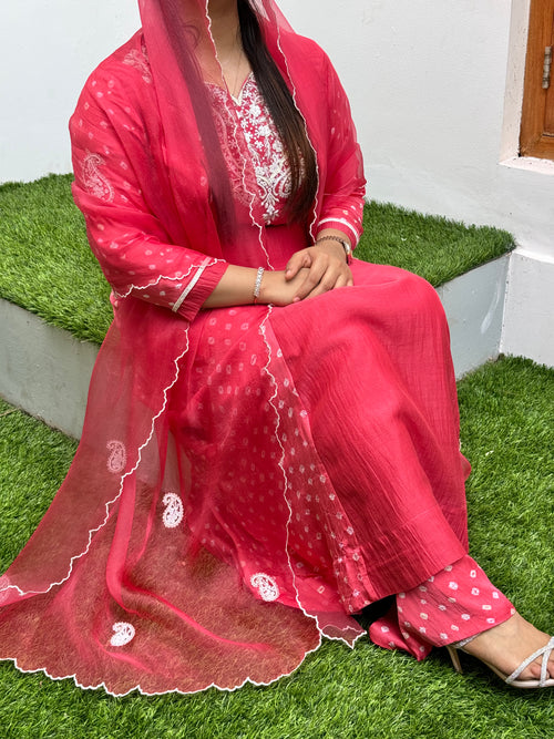 BANDANI - Pink Handcrafted Anarkali Suit